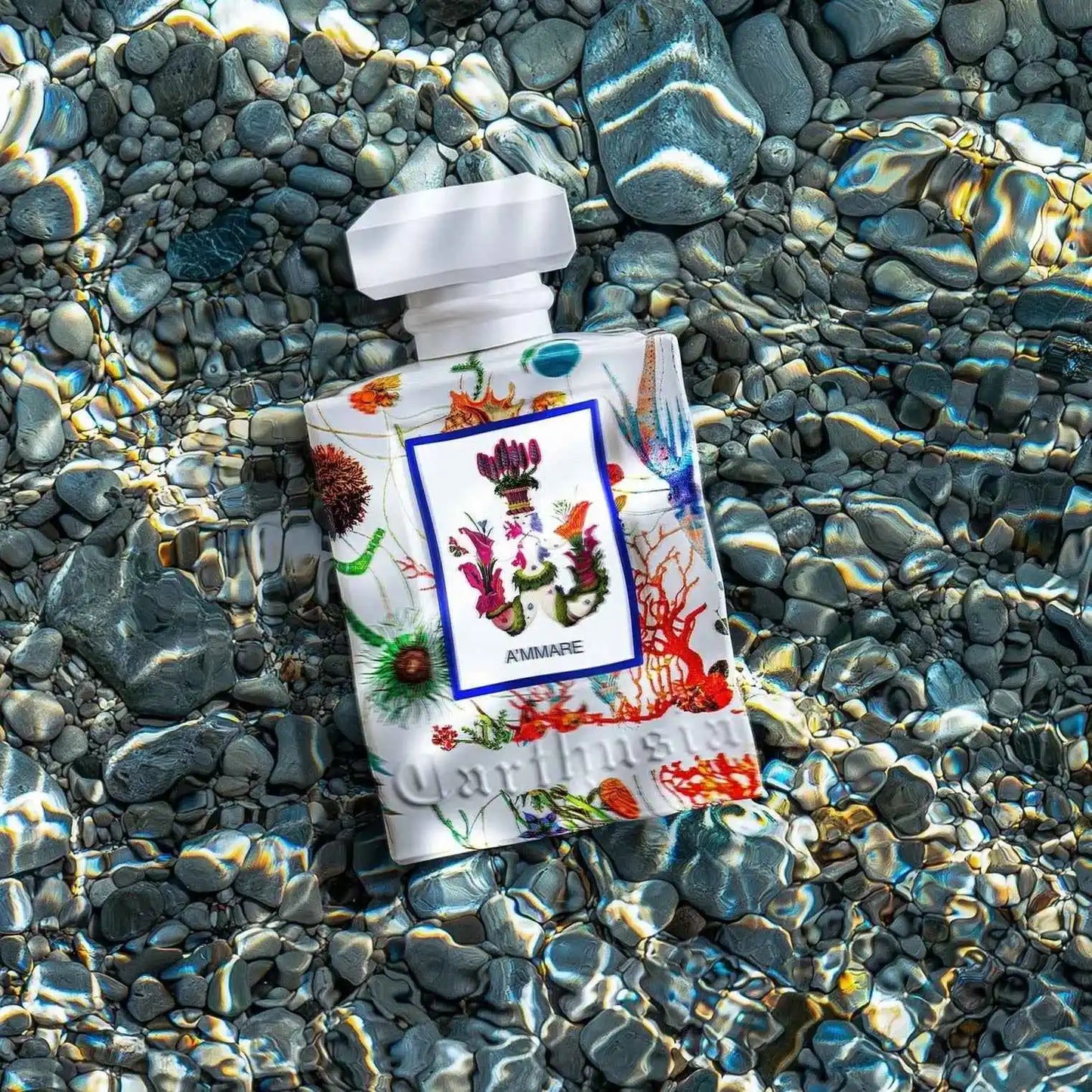 Dettaglio etichetta A'MMARE Carthusia bottiglia profumo